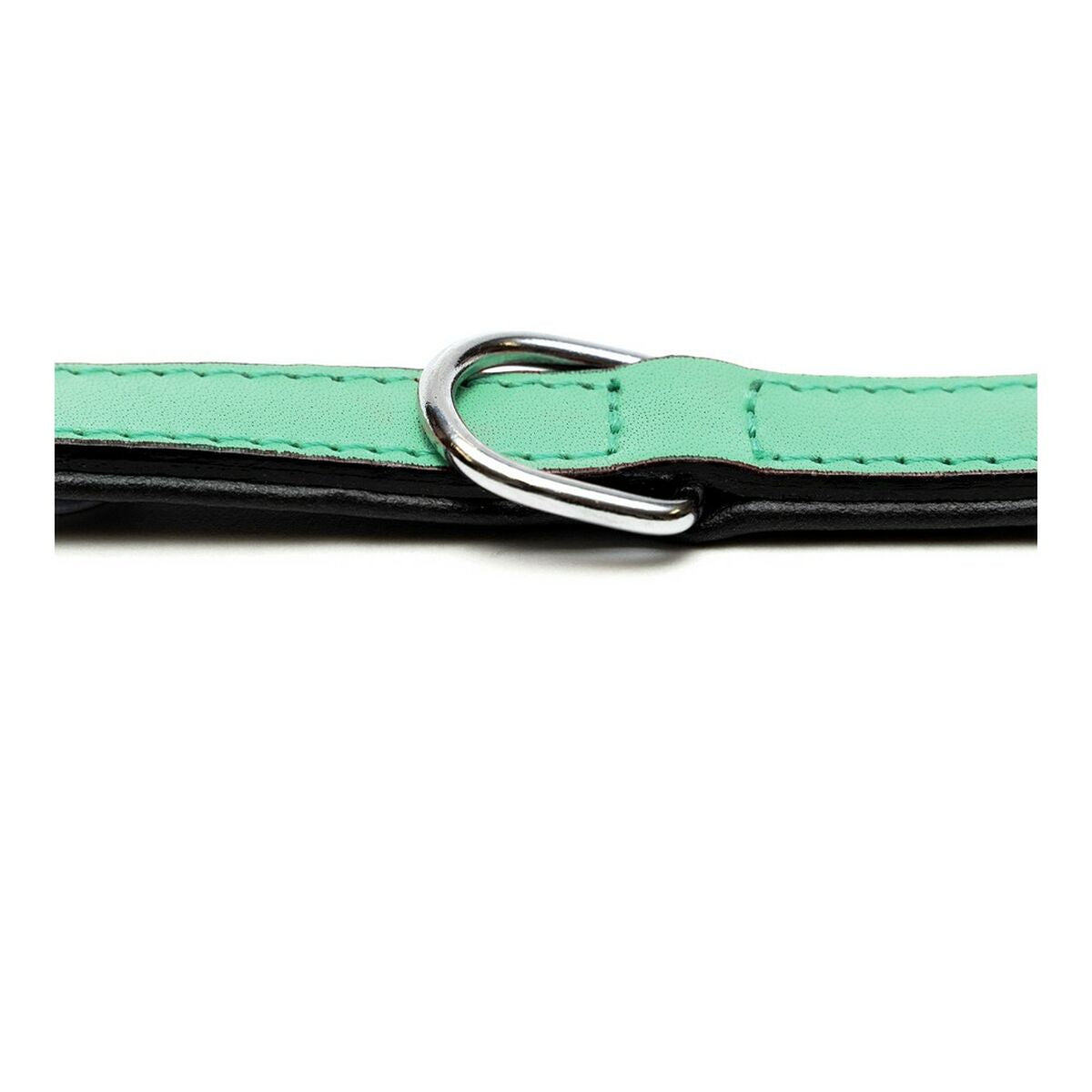 Gloria Hundehalsband Gloria Polsterung Grün 30 Cm (30 X 1,5 Cm)