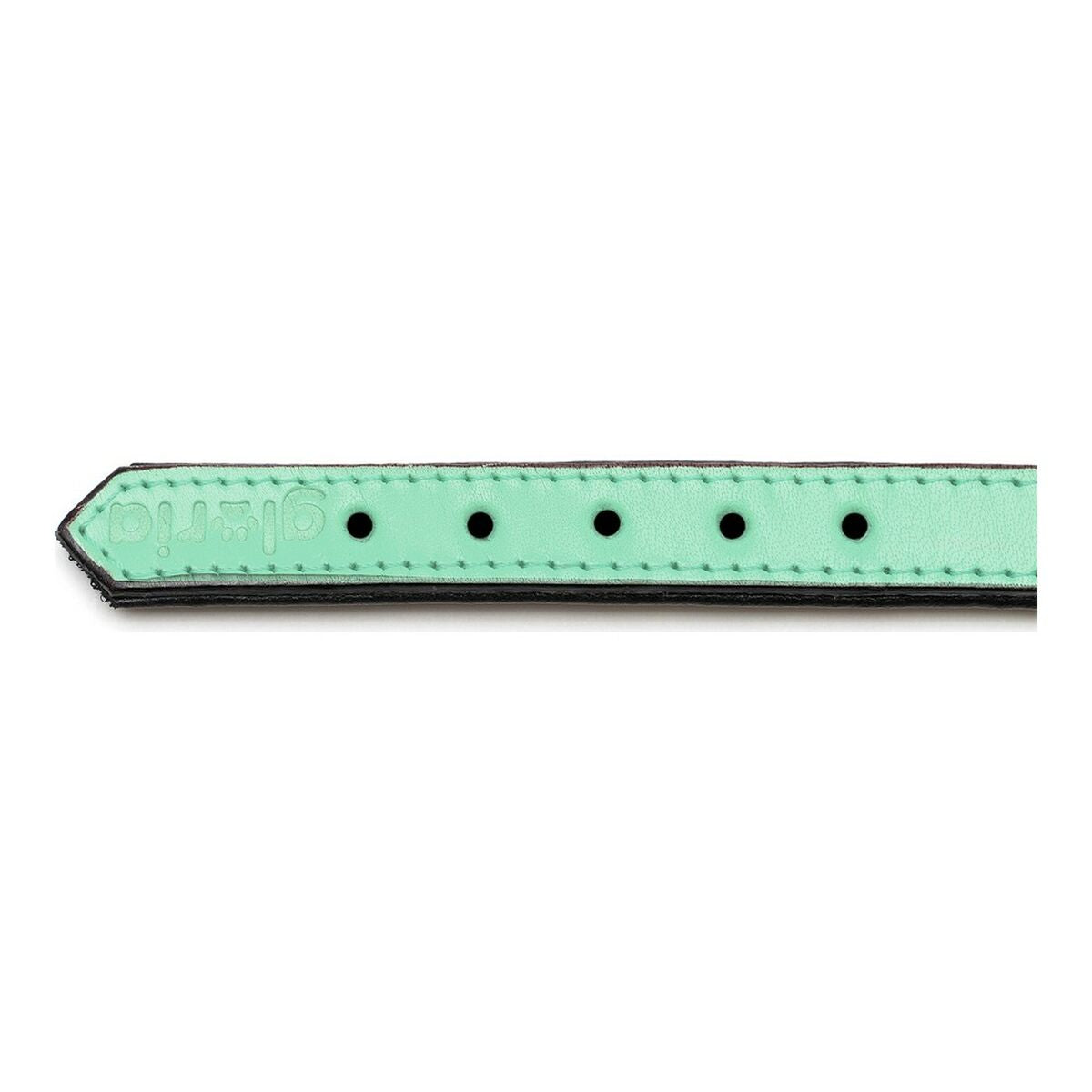 Gloria Hundehalsband Gloria Polsterung 45 Cm Grün (45 X 2 Cm)