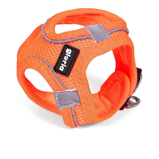 Gloria Hundegeschirr Gloria Air Mesh Trek Star Einstellbar Orange (18-20 Cm)