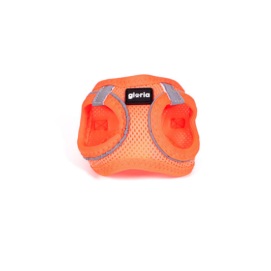 Gloria Hundegeschirr Gloria Trek Star 24-26 Cm 28-28,6 Cm Orange Xxs
