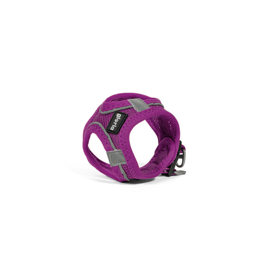 Gloria Hundegeschirr Gloria Trek Star 24-26 Cm 28-28,6 Cm Lila Xxs