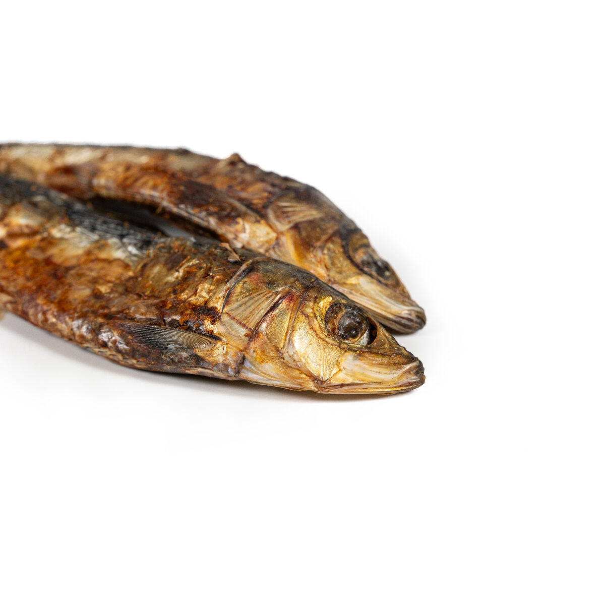 Snackys Nassfutter Snackys Fisch