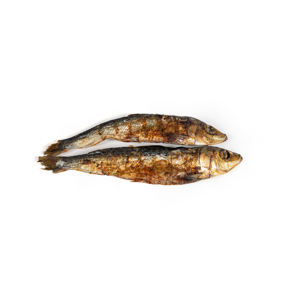 Snackys Nassfutter Snackys Fisch