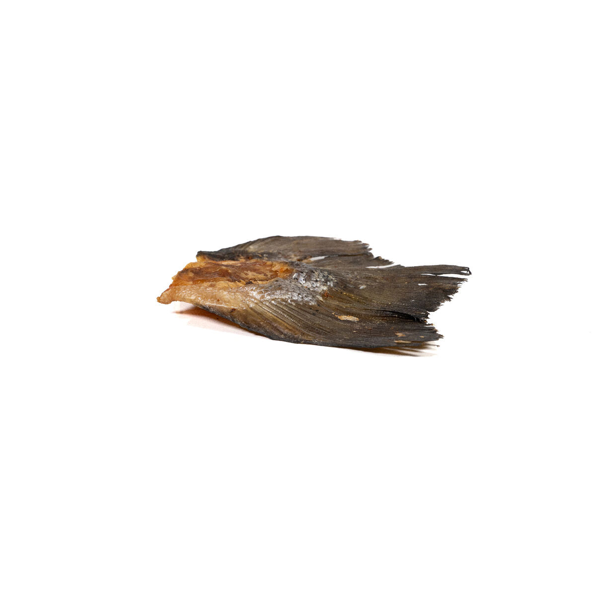 Snackys Nassfutter Snackys Fisch