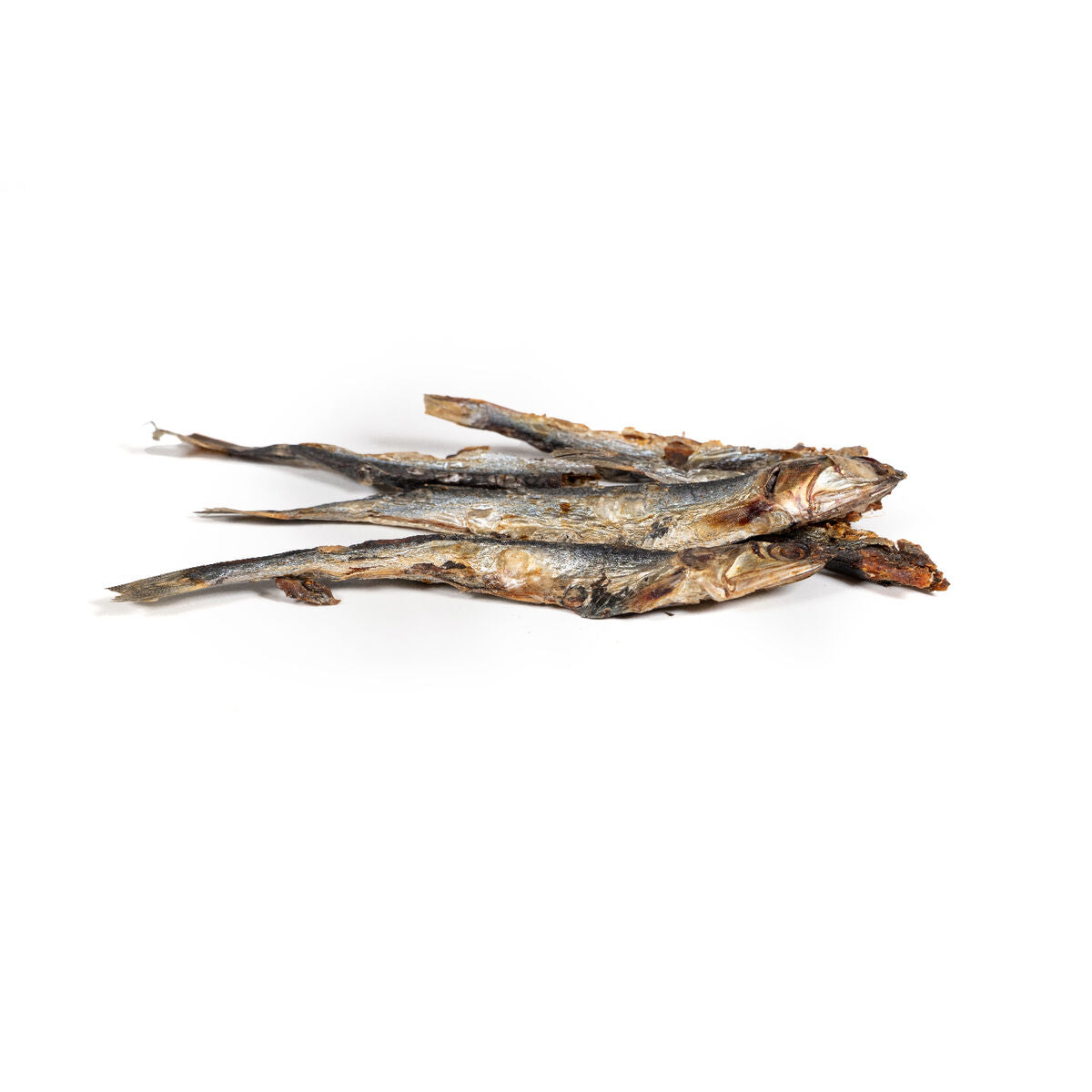 Snackys Nassfutter Snackys Fisch