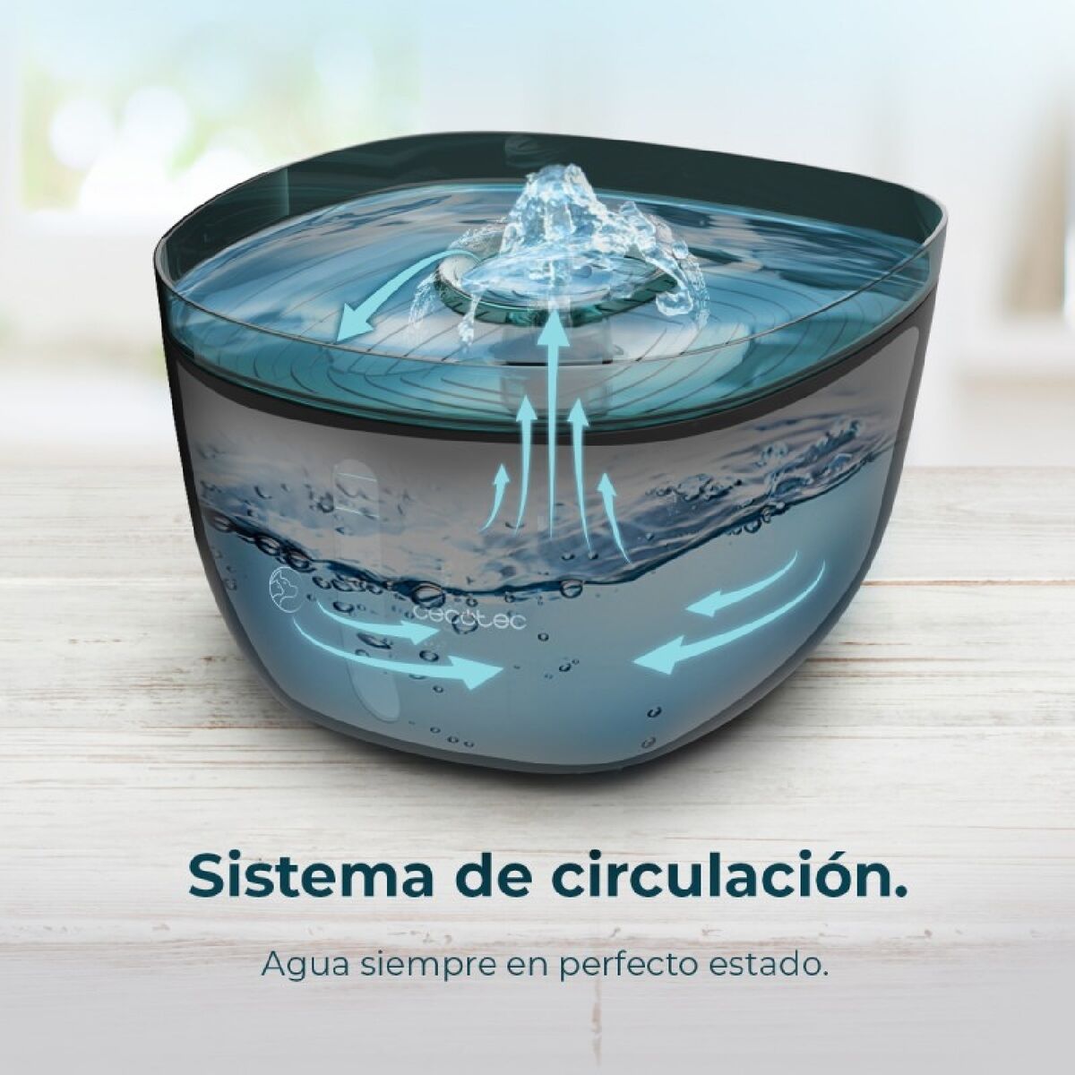 Cecotec Trinkbrunnen Für Haustiere Cecotec Schwarz Schwarz/Blau Kunststoff