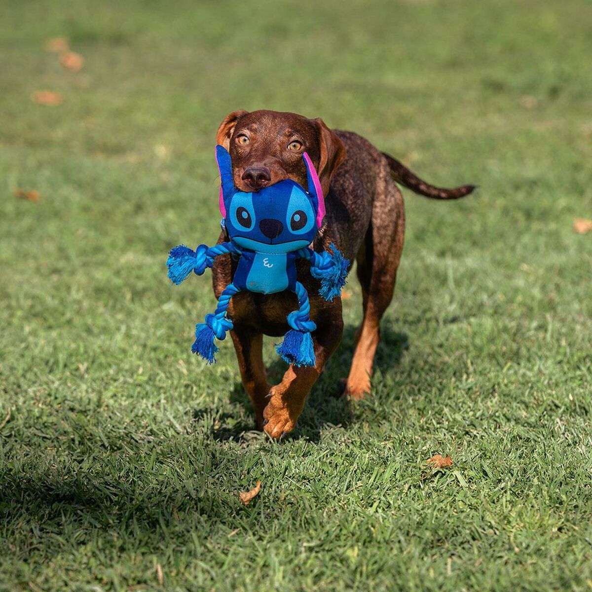 Stitch Hundespielzeug Stitch Blau 13 X 7 X 23 Cm