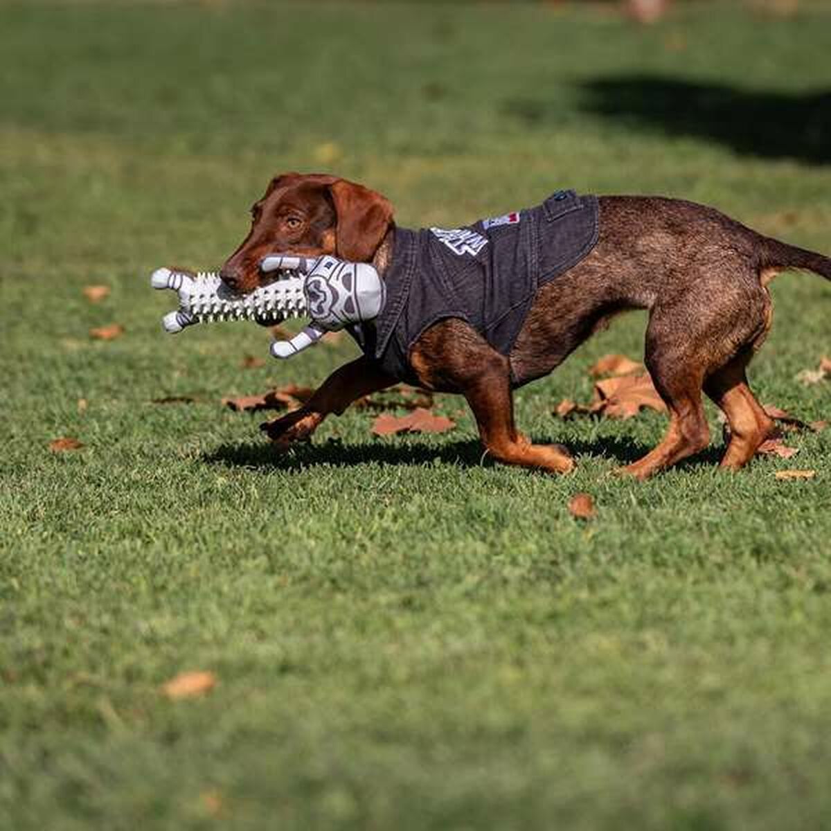 Star Wars Hundespielzeug Star Wars