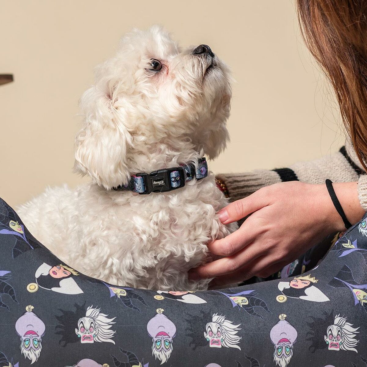 Disney Hundehalsband Disney