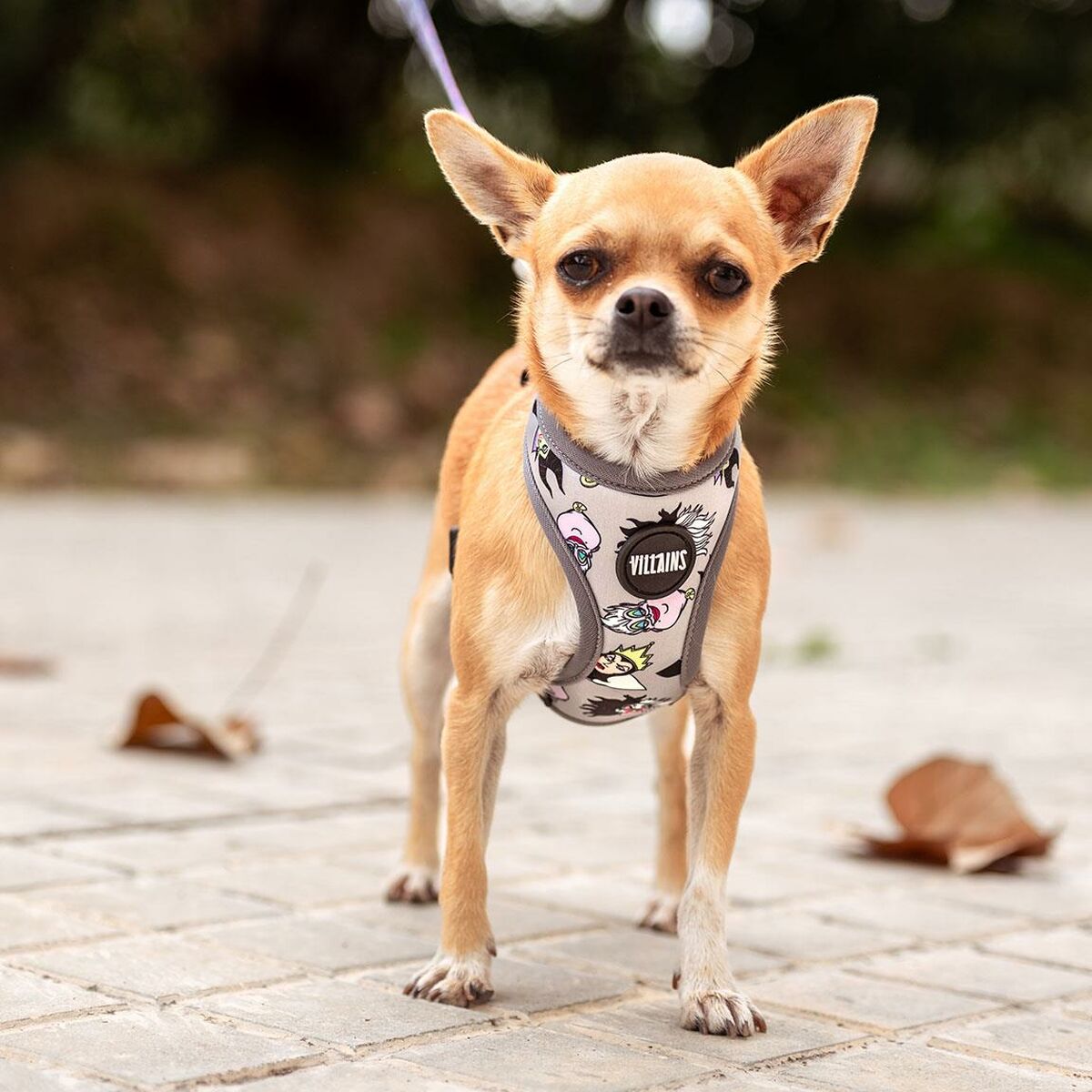 Disney Hundegeschirr Disney