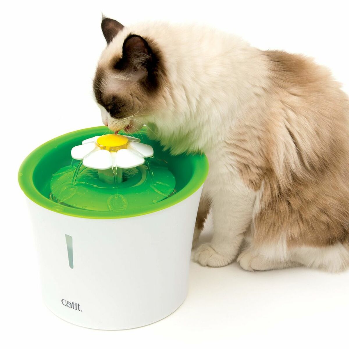 Catit Trinkbrunnen Für Haustiere Catit Senses 2.0
